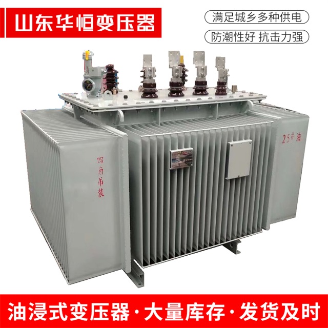 S13-10000/35东坡东坡东坡电力变压器厂家