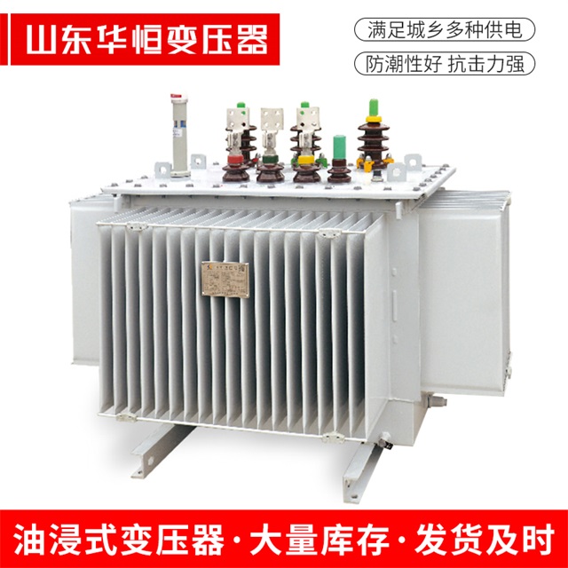 S13-10000/35东坡东坡东坡电力变压器